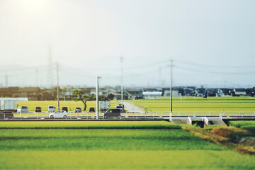 Fototapeta premium 日本の田園風景