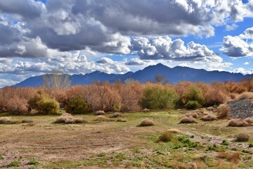 Monsoon skies over the Arizona desert.
