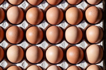 Chicken eggs