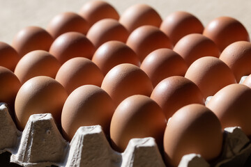 Chicken eggs