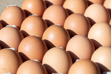 Chicken eggs