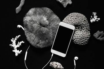 Smartphone with a blank screen