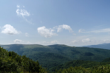 Fototapeta premium Bukowe Berdo - Bieszczady 
