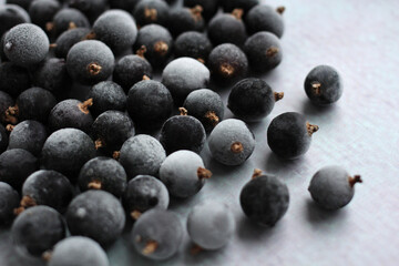 Garden frozen black currant berry in white frost on a light background, top view, recording place
