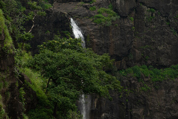 Obraz premium waterfall in the forest