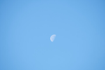 Northern forest, Beautiful nature