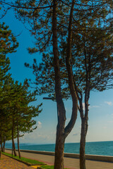 KOBULETI, GEORGIA: Landscape with a view of the promenade by the beach on the Black Sea on a sunny summer day.