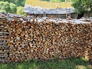 Chopped firewood, piled in piles, is harvested for the winter season in the village