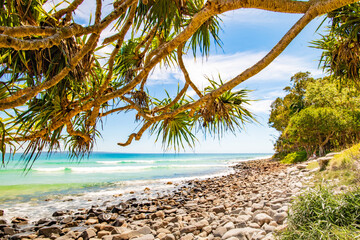 Palm Tree Branches overhanging on a blue sky beach with pebbles over the sandy beach..