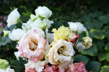 Colorful bouquet flower backdrop for natural banner design