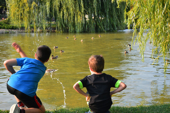 two children feeding ducks on a lake shore