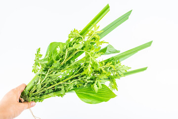 Chinese Dragon Boat Festival Doors and Windows Hanging Bouquets of Artemisia calamus