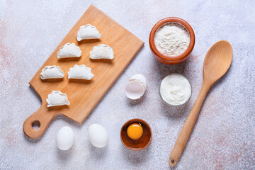 Composition with raw dumplings on light background