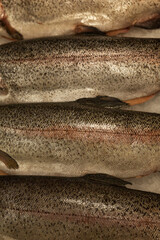 Fresh raw fish on ice. Healthy diet food. Top view. Close-up. Vertical.