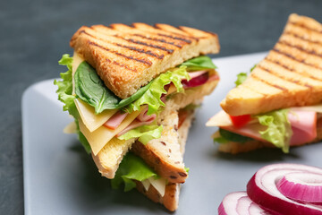 Plate with tasty sandwiches on dark background, closeup