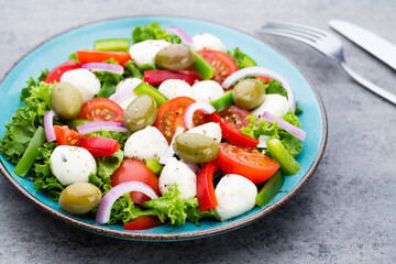 Vegetable salad with cheese mozzarella, tomatoes, basilikum and spice.