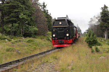 the steam locomotive in the Harz Mountains