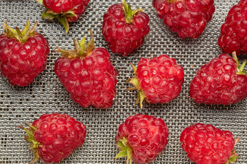 washed raspberry with water drops on a steel sieve grid. abstract food background.