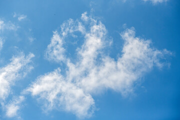 chmura na błękitnym niebie - obrazy, fototapety, plakaty