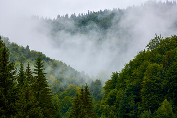 Obraz na płótnie Canvas beautiful landscape in the mountain area in the Carpathian mountains Romania