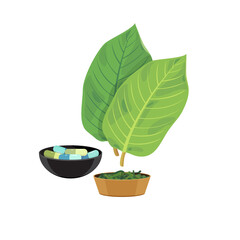 Kratom leaf and pill