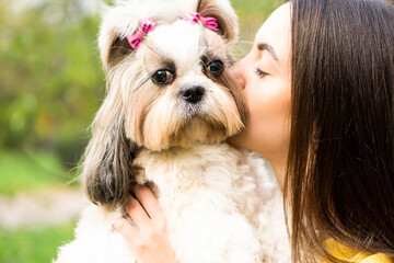 Close up portrait brunette woman holds in her arms hugs and kisses a funny surprised shih tzu dog in  autumn park. copy space background. The concept of love and care for animals.