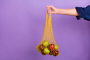 Cropped photo of female earth activist recommend using reusable zero waste net bag isolated on...