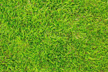 artificial green grass texture for background