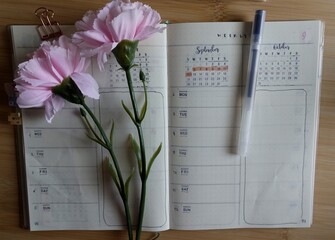 Naklejka premium bujo notebook and flowers