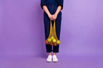 Cropped photo of young woman female hold net bag earth activist no plastic concept isolated on purple color background