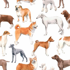 Beautiful autotraced vector seamless pattern with cute watercolor hand drawn dog breeds Cocker spaniel Greyhound Hound Basenji and Russian Greyhound Whippet . Stock illustration.