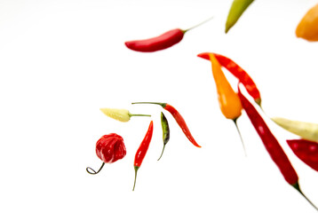 Isolated peppers on white table without shadow
