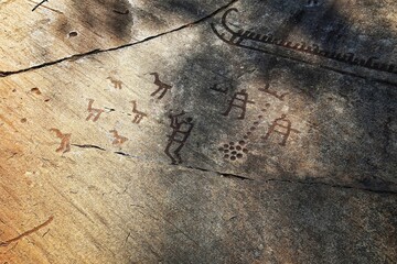 Rock painting at the World Heritage Site Tanum in Sweden