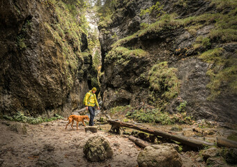 Traveler Man trekker with him dog walk around mountains in sunny day. Backpacker walking in Outdoors. Health care, authenticity, sense of balance and calmness.
