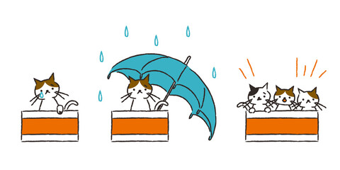 いろんな捨て猫