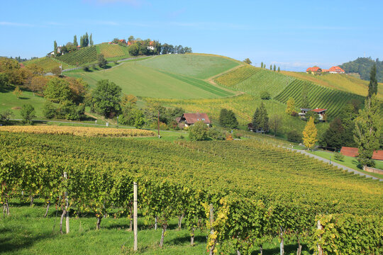 sanfte H&uuml;gellandschaft mit Weinberger in der S&uuml;dsteiermark bei Gamlitz (&Ouml;sterreich)
