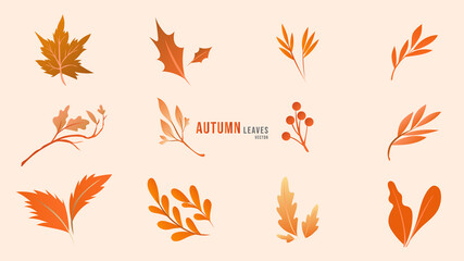Autumn leaves set , isolated on orange background , Flat Modern design , Illustration Vector  EPS 10