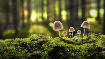 Mossy surface in autumn forest with a small fungus mushrooms on a stump, moss, spruce cones and sun ray. Image with a copy space in an autumn forest. A background image. Realistic 3d illustration. 