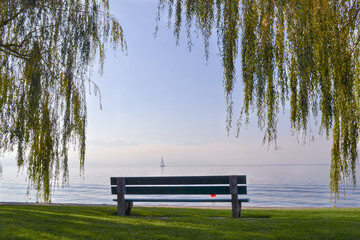 Bench by the lake. Misty mountains, a boat and a willow tree.