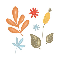 Thanksgiving autumn floral set. Leaves isolated on white background. Vector illustration in simple cartoon style
