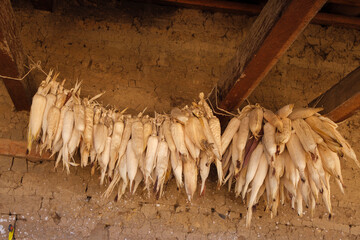 San Sebastián Lemoa, municipio de Chichicastenango , Quiché, Guatemala, America Central