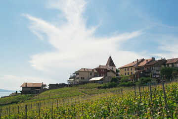 Vineyards and village in Switzerland