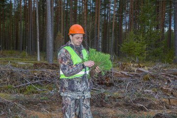 A forest worker holds tree seedlings in his hands. Forestry planting concept in forestry.