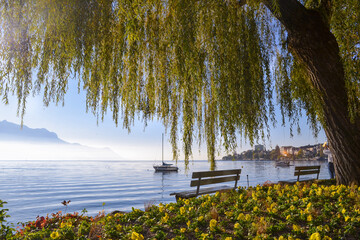 Lakeshore flowers and boats at Montreux, Switzerland