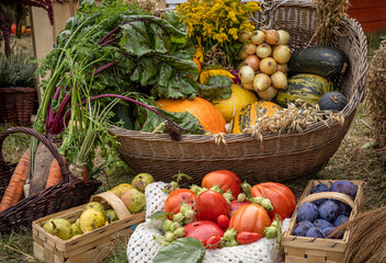 Colorful fruits and vegetables in wicker baskets. Tomatoes, plums, pears, pumpkins, nuts, onions, squash. Autumn vibes. 