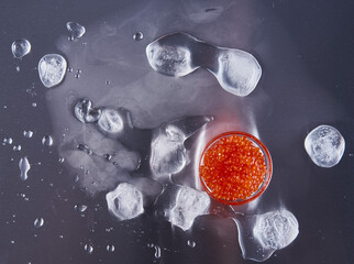 Salmon roe with ice on metal