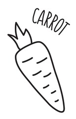 Carrot vegetable hand drawn with thin line