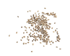 Hemp seeds on white background, top view