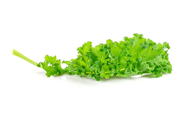 fresh green kale leaves isolated on white