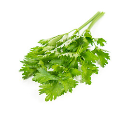 Fresh celery isolated on white background.